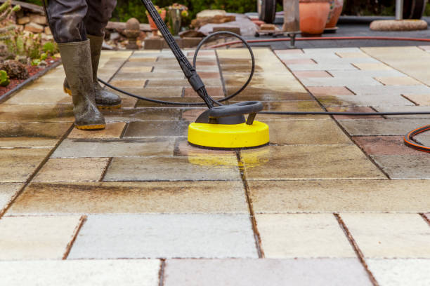 Best Roof Washing  in Ormond Beach, FL